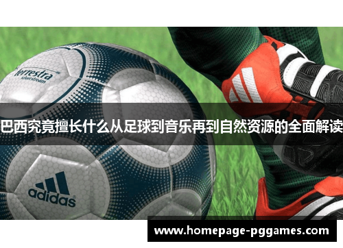 巴西究竟擅长什么从足球到音乐再到自然资源的全面解读