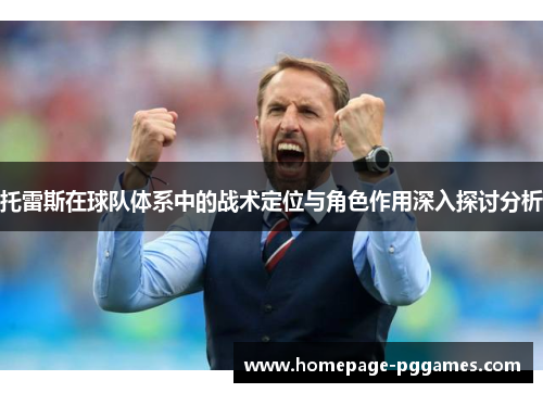 托雷斯在球队体系中的战术定位与角色作用深入探讨分析