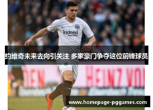 约维奇未来去向引关注 多家豪门争夺这位前锋球员