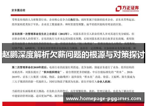 赵鹏深度解析欠薪问题的根源与对策探讨