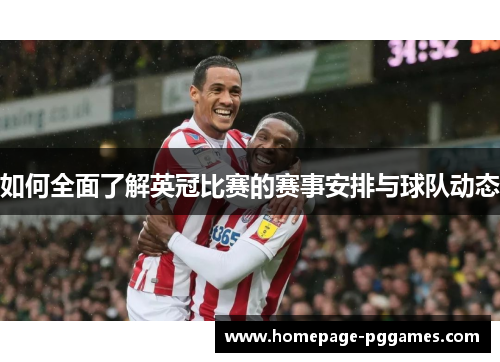 如何全面了解英冠比赛的赛事安排与球队动态