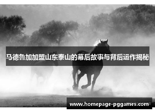 马德鲁加加盟山东泰山的幕后故事与背后运作揭秘 马德鲁加加盟山东泰山的幕后故事与背后运作揭秘