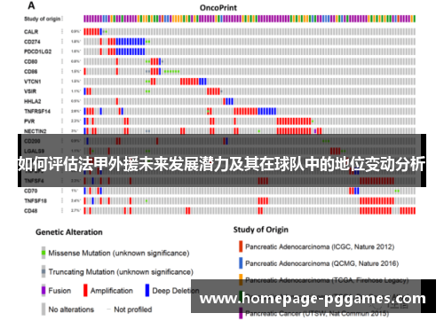 如何评估法甲外援未来发展潜力及其在球队中的地位变动分析 如何评估法甲外援未来发展潜力及其在球队中的地位变动分析