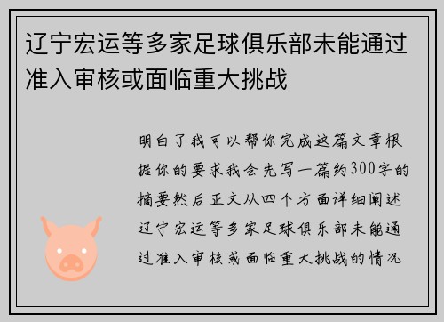 辽宁宏运等多家足球俱乐部未能通过准入审核或面临重大挑战 辽宁宏运等多家足球俱乐部未能通过准入审核或面临重大挑战